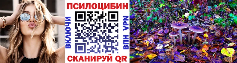 Псилоцибиновые грибы Cubensis  Старая Купавна 