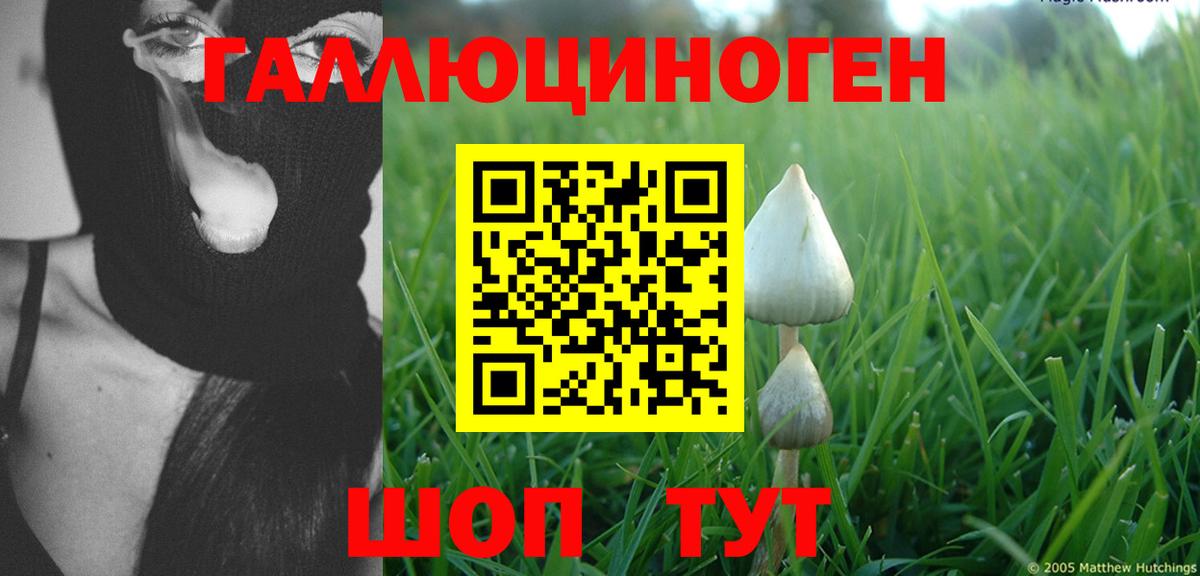 Псилоцибиновые грибы GOLDEN TEACHER  Вход с VPN  Старая Купавна 